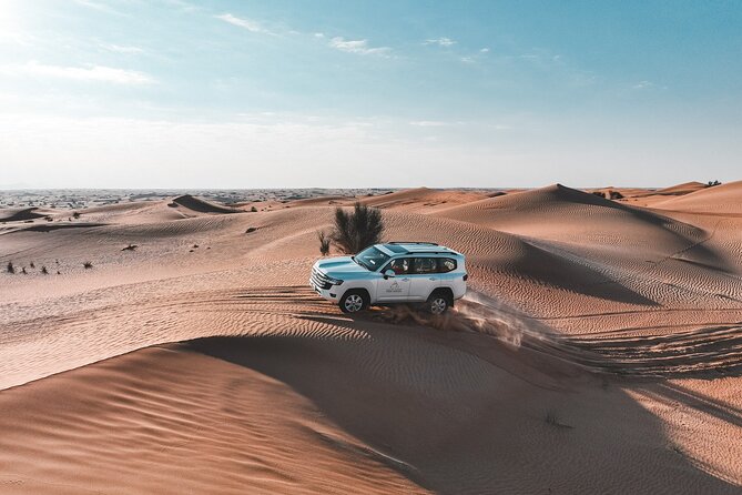 Dubai Red Dunes Safari: Dune Bashing, Camel Ride & Breakfast - Wildlife in the Dubai Desert Conservation Reserve