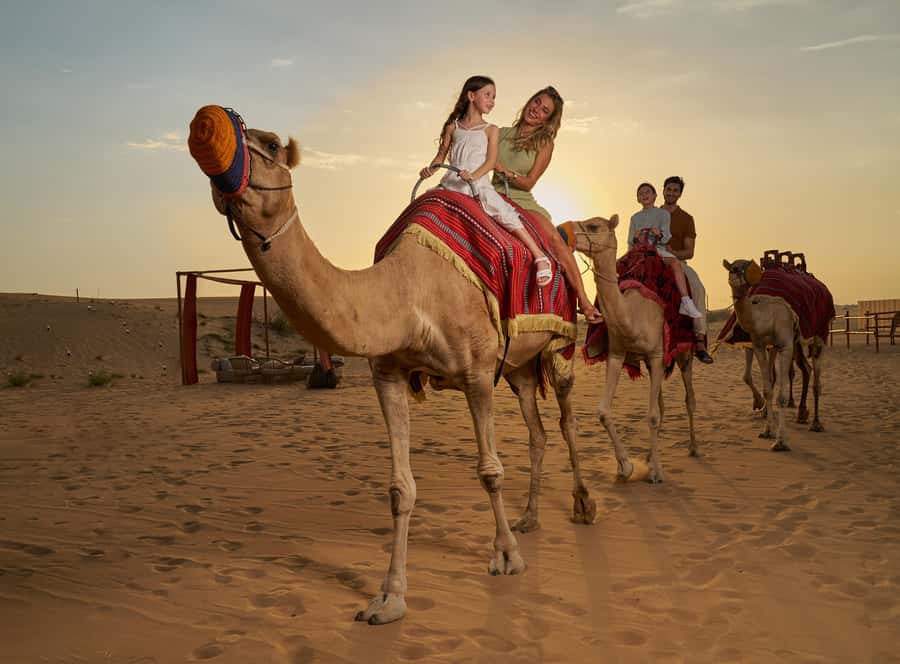 Dubai’s Best Desert Safari: Live Show & Gourmet BBQ Dinner - Red-dune bashing and the best photo stops