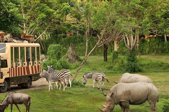 Dubai Safari Park - Unlimited trains make the large site easier