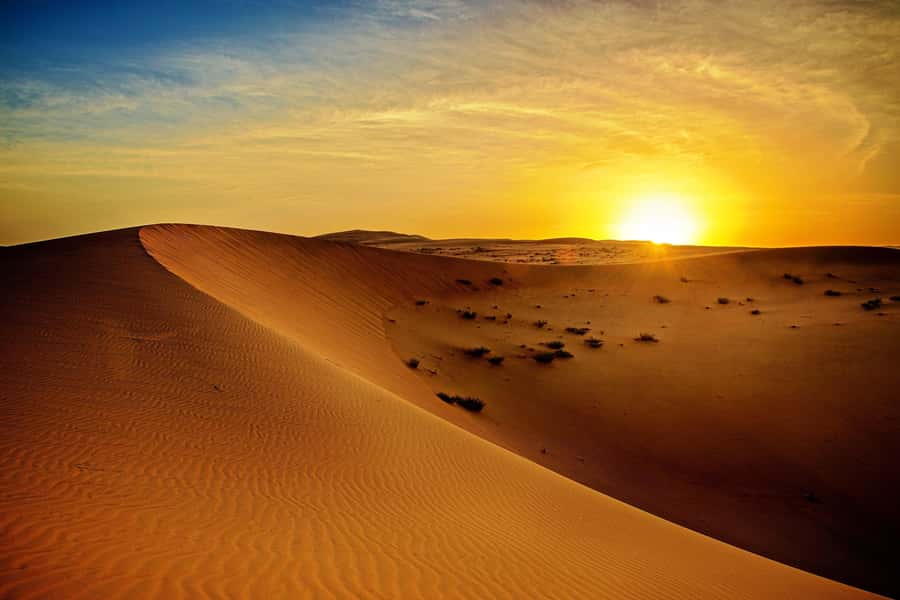 Dubai: Sunrise Desert Jeep Safari with Wildlife Experience - Leaving Dubai before dawn