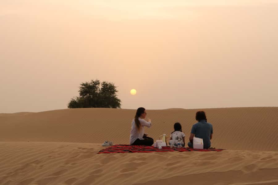 Dubai: Sunrise Desert Jeep Safari with Wildlife Experience - Al Qudra Lakes and the final stop
