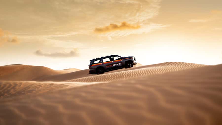 Dubai Waves & Dunes: Luxury Yacht Cruise w/ Red Dunes Safari - Who should book this Dubai combination?