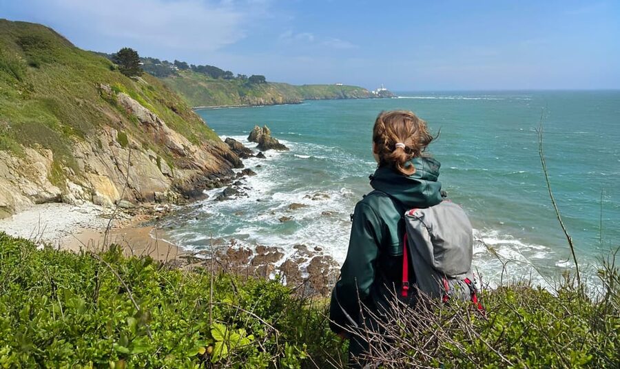 Dublin: Howth Safari Hiking Tour - Why Howth Works So Well as a Half-Day Escape