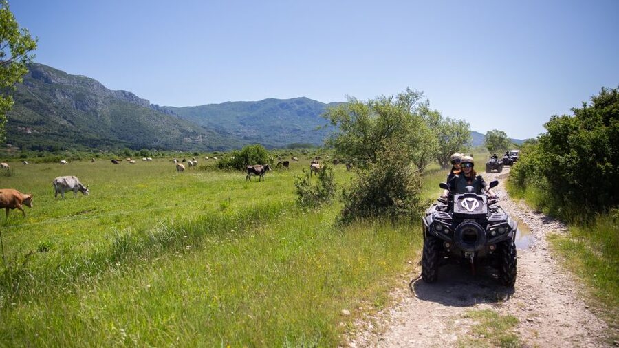 Dubrovnik: Kojan Koral ATV Quad Safari with transport - First riding section: fields, wetlands, and the Ljuta River