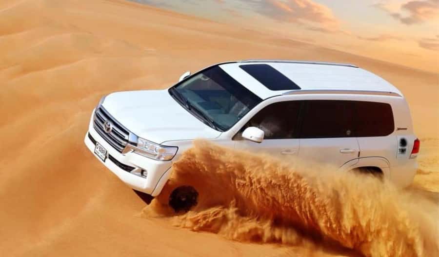Dune Bashing &Beyond The Ultimate Desert Safari From Doha - Key points to know before booking