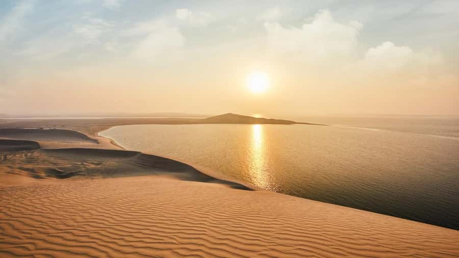 Dune Bashing &Beyond The Ultimate Desert Safari From Doha - Sandboarding, camel rides, and the activity choices
