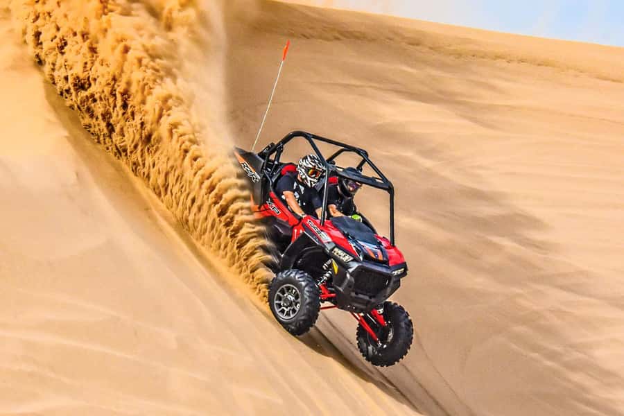 Dune Bashing &Beyond The Ultimate Desert Safari From Doha - Who should book this outing?