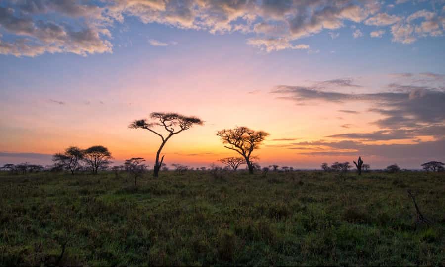 Durban: Hluhluwe Big 5 Safari with Pro Zeiss Binoculars - Comfort, group size, and the vehicle