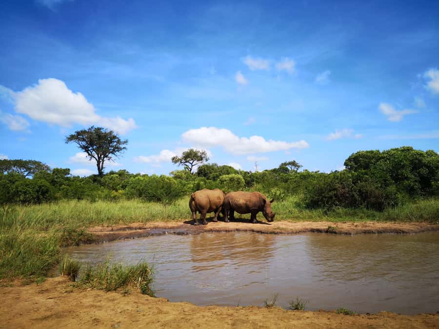 Durban: Hluhluwe Big 5 Safari with Pro Zeiss Binoculars - The 5 am departure and the long drive