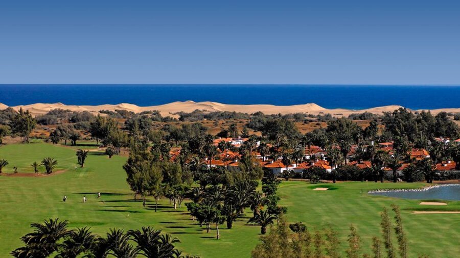 E-Bike City Tour with Camel Safari on Maspalomas Sand Dunes - The 30-Minute Camel Ride Through the Dunes