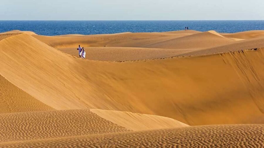 E-Bike City Tour with Camel Safari on Maspalomas Sand Dunes - How Much Value Does the $101 Price Offer?