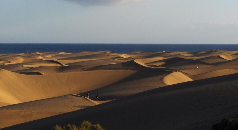 E-Bike City Tour with Camel Safari on Maspalomas Sand Dunes - Playa del Ingles by Promenade and Cycle Path