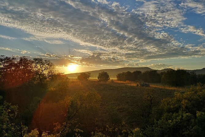 Early Morning Balloon Safari with Breakfast from Magaliesburg - Weather, Cancellations, and Planning Around Risk