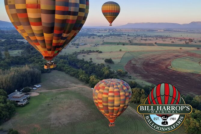 Early Morning Balloon Safari with Breakfast from Magaliesburg - Who Will Enjoy This Experience Most?