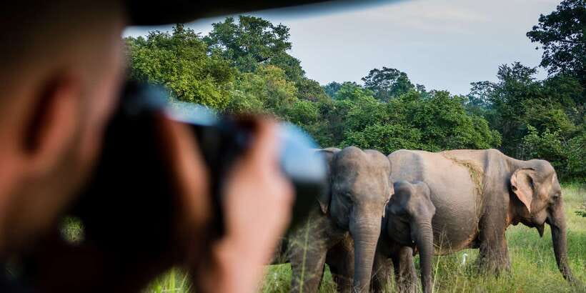 Ella: Shuttle to Mirissa/Galle/Hikkaduwa & Udawalawa Safari - Small details that improve the day