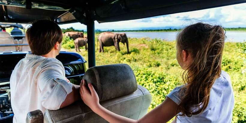 Ella: Shuttle to Tangalle/Mirissa/Galle w Udawalawe Safari - Returning to the air-conditioned car