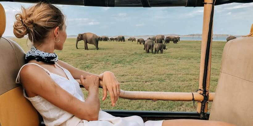 Ella: Shuttle to Tangalle/Mirissa/Galle w Udawalawe Safari - Leaving Ella early for Udawalawe