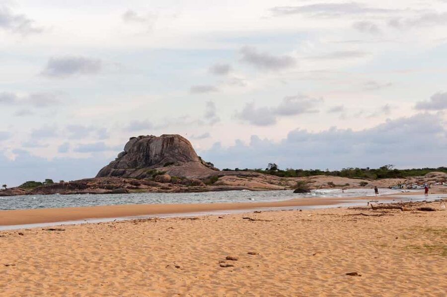 Ella: Transfer to Hikkaduwa & Yala Safari Tour - Booking advice for a smoother day