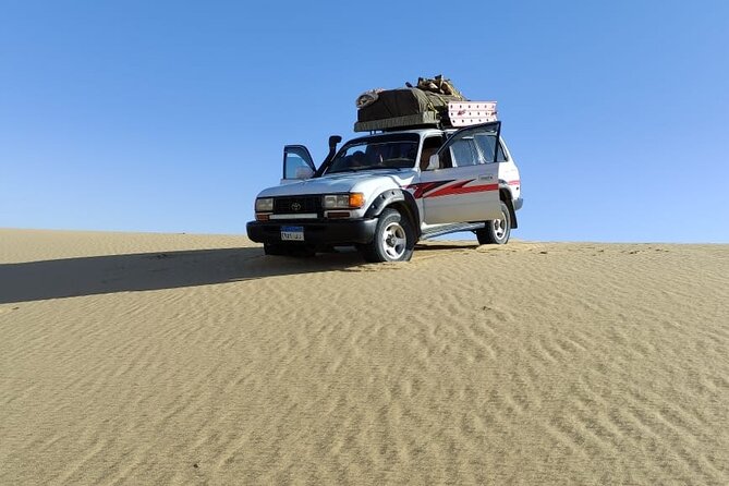 Enjoy safari The black and white desert two night 3 days - Why the Black and White Deserts make a good pair
