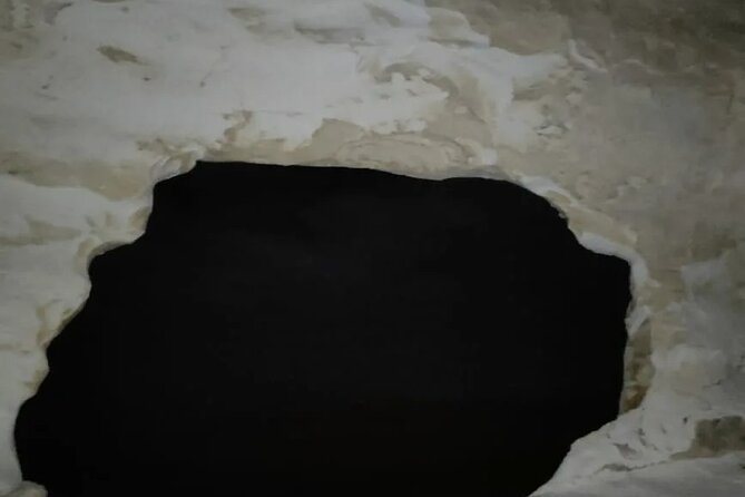 Enjoy safari The black and white desert two night 3 days - Day 2: Dunes, sandboarding, springs, and the White Desert