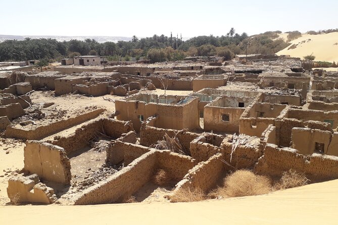 Enjoy safari The black and white desert two night 3 days - Who will enjoy this safari most?
