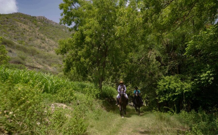 Equestrian Escape: Horse Safari Adventure - Key points to know before you book