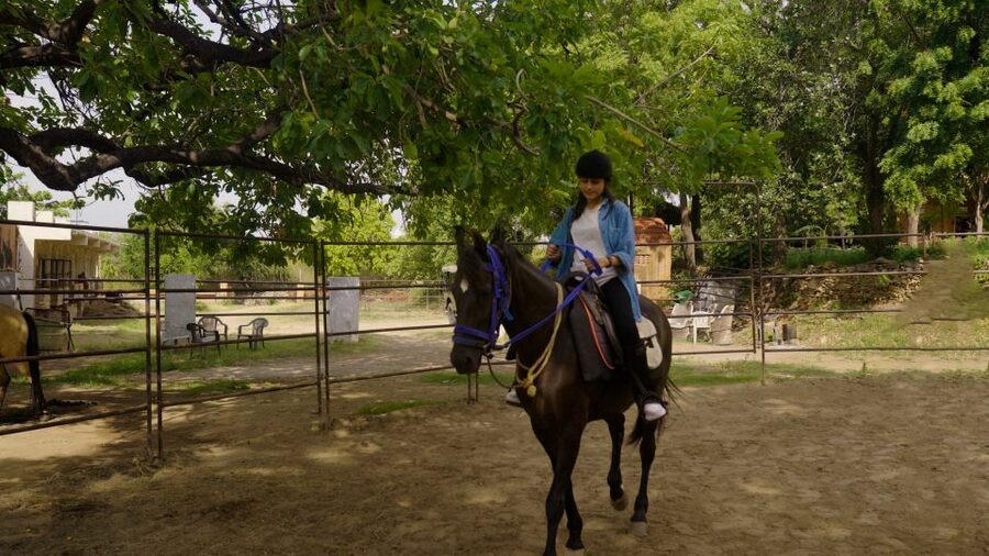Equestrian Escape: Horse Safari Adventure - Who will enjoy this experience most