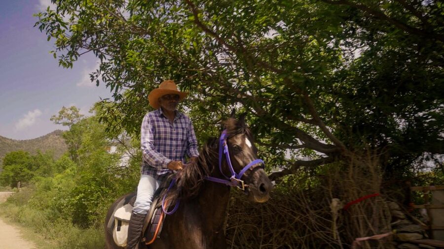 Equestrian Escape: Horse Safari Adventure - Meeting Dinesh and learning the Marwari way