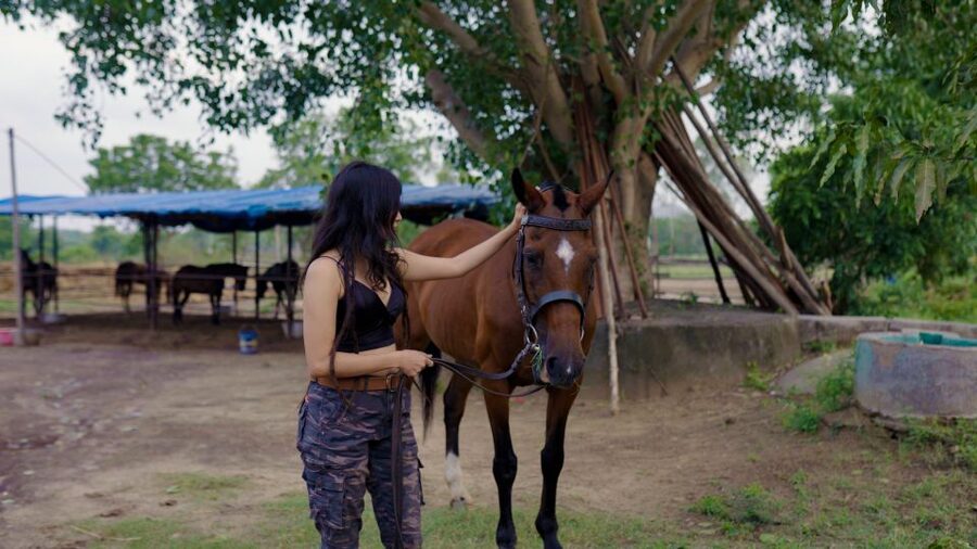 Equestrian Escape: Horse Safari Adventure - Feeding, cleaning, and grooming your horse