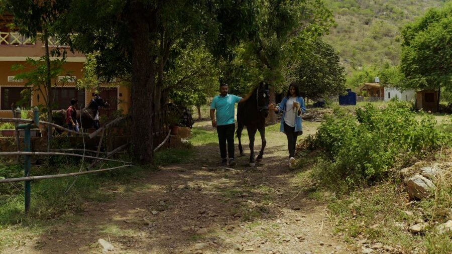 Equestrian Escape: Horse Safari Adventure - Riding around Badi Village and the countryside