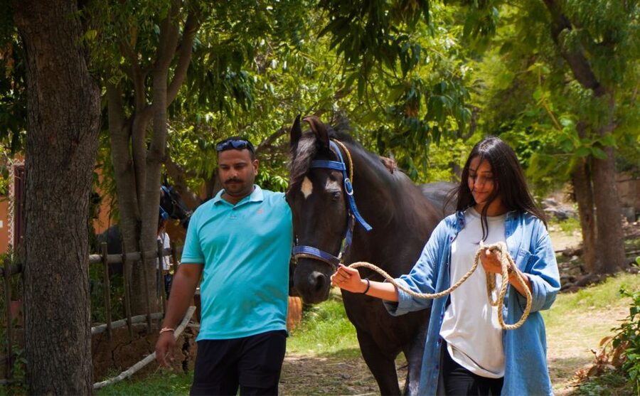 Equestrian Escape: Horse Safari Adventure - The value of a $104 private experience