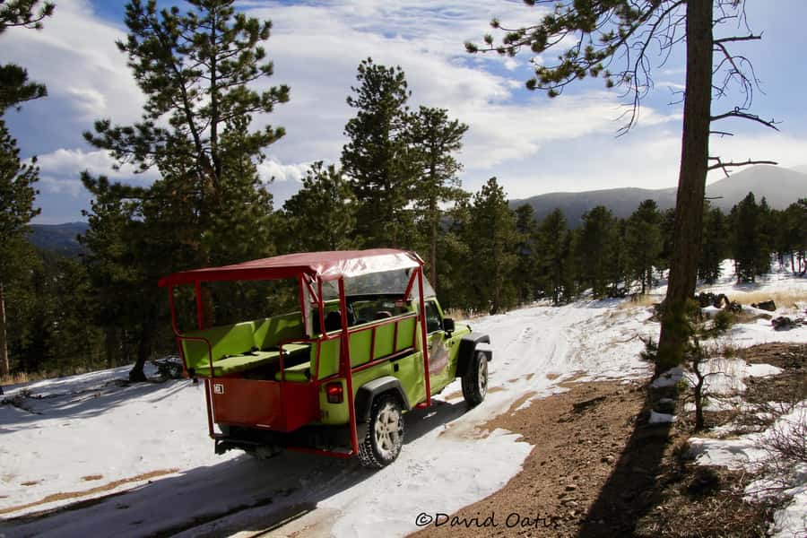 Estes Park: Rocky Mountain National Park Safari Tour - Meadows, rivers, and aspen groves below timberline