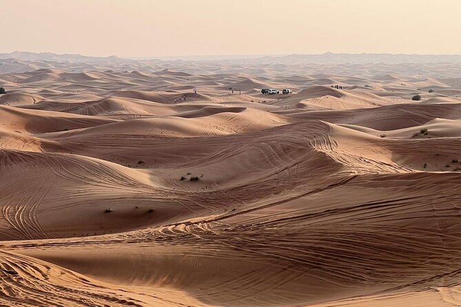 Evening Desert Safari Abu Dhabi with Dinner - Belly dancing and the Tandoora show