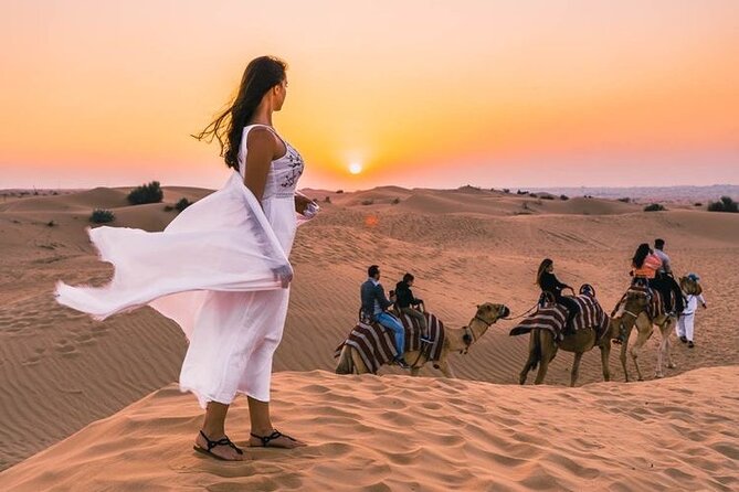 Evening Desert Safari & BBQ With Live Shows,Camel Ride,Falcon pic - What this Dubai safari is really offering