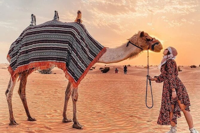 Evening Desert Safari & BBQ With Live Shows,Camel Ride,Falcon pic - Camel riding and sandboarding keep the activities varied