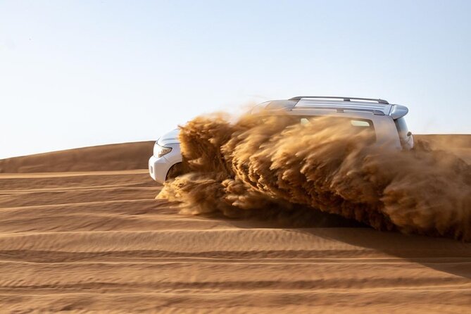 Evening Desert Safari & BBQ With Live Shows,Camel Ride,Falcon pic - How much value do you get for $49.90?