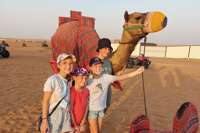 Evening Desert Safari Camel Ride Dinner Live Shows in Abu Dhabi - Why this Abu Dhabi safari works well as a first desert outing
