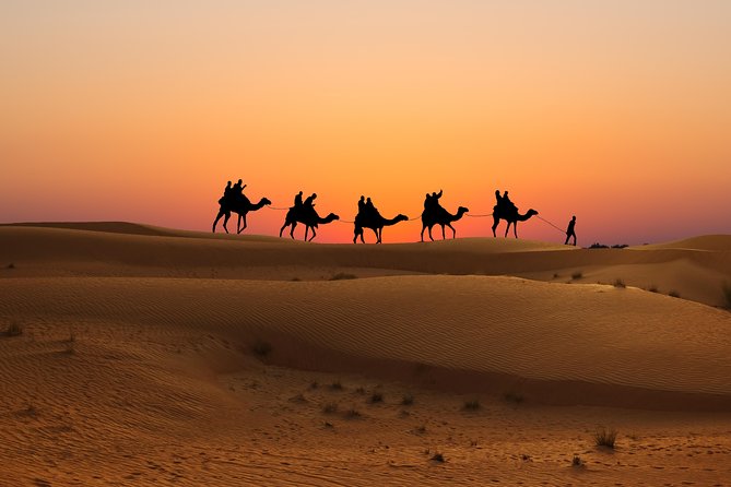 Evening Desert Safari in Dubai, Sandboard & BBQ Dinner - BBQ dinner with vegetarian and non-vegetarian choices