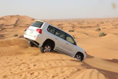 Evening Desert Safari Tour With Dinner & Entertainment
