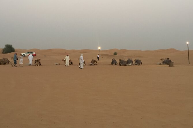 Evening Desert Safari Tour With Live Enterterment And BBQ Dinner - Sunset photography on the red dunes