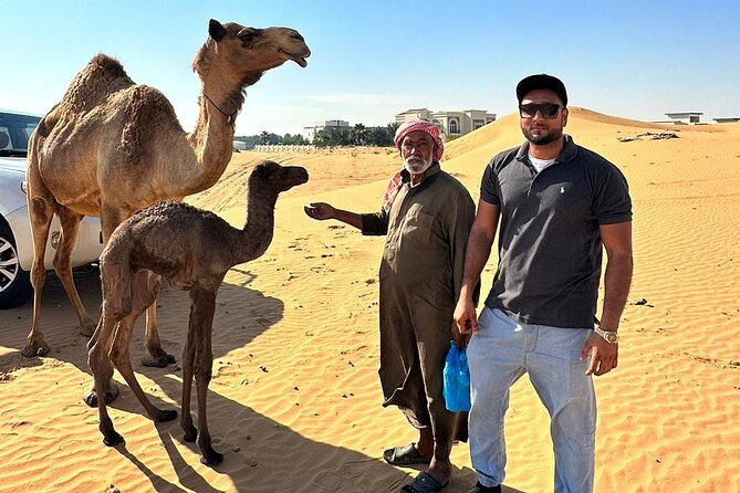 Evening Desert Safari Tours - Quad bikes and dune buggies are extra