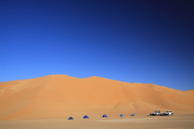 Evening Desert Safari with Belly Dance and BBQ Dinner and Camel Ride - From Dubai pickup to open sand