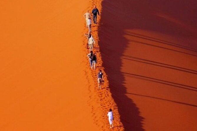 Evening Desert Safari with Belly Dance and BBQ Dinner and Camel Ride - BBQ buffet with vegetarian choices