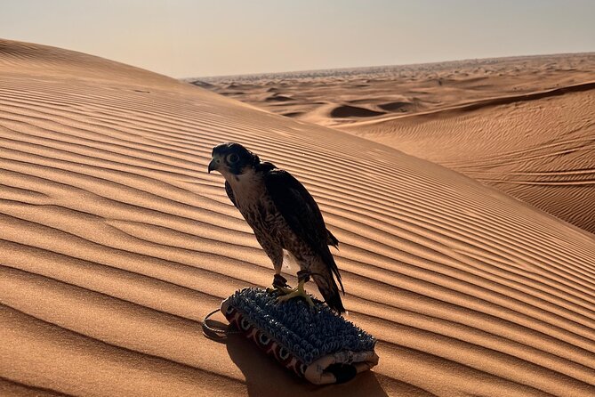 Evening Dubai Desert Safari, Red Sand, Premium camp shows & Diner - Sand boarding, camel riding, and henna