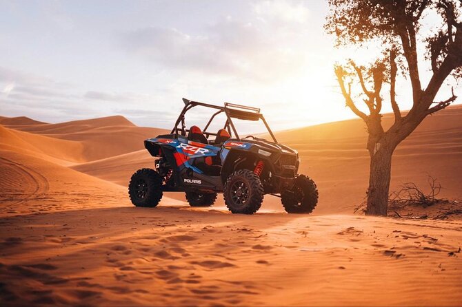 Evening Dubai Desert Safari, Red Sand, Premium camp shows & Diner - Dinner at the premium camp