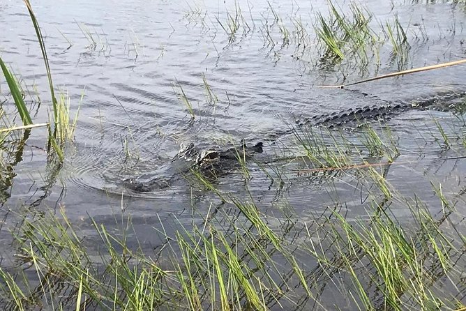 Everglades Airboat Safari Adventure with Transportation - Sawgrass Recreation Park or the main national park?