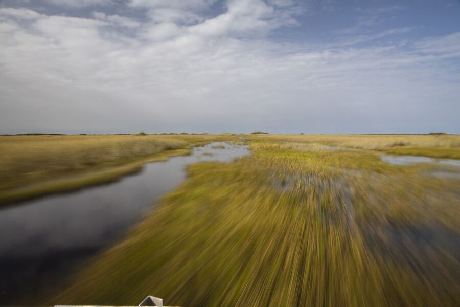 Everglades Day Safari from Fort Lauderdale - Who will enjoy this safari most