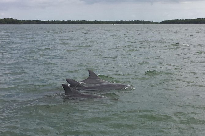Everglades Day Safari from Fort Myers/Naples Area - A short stop at Smallwood Store Museum