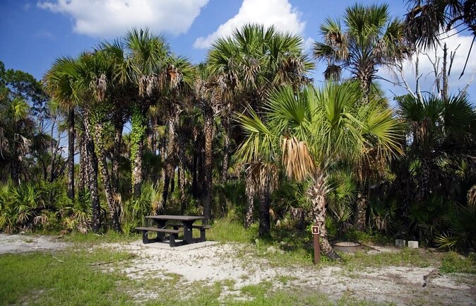 Everglades Day Safari from Ft Lauderdale - The important details at a glance