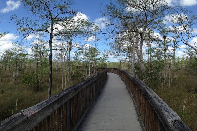 Everglades Day Safari from Ft Lauderdale - The Ten Thousand Islands boat cruise